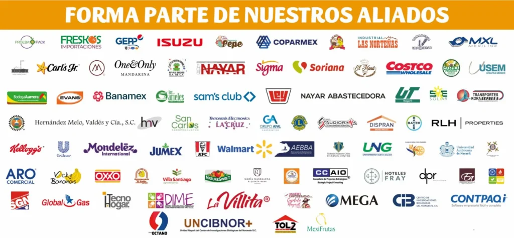 Empresas aliadas BAMX
